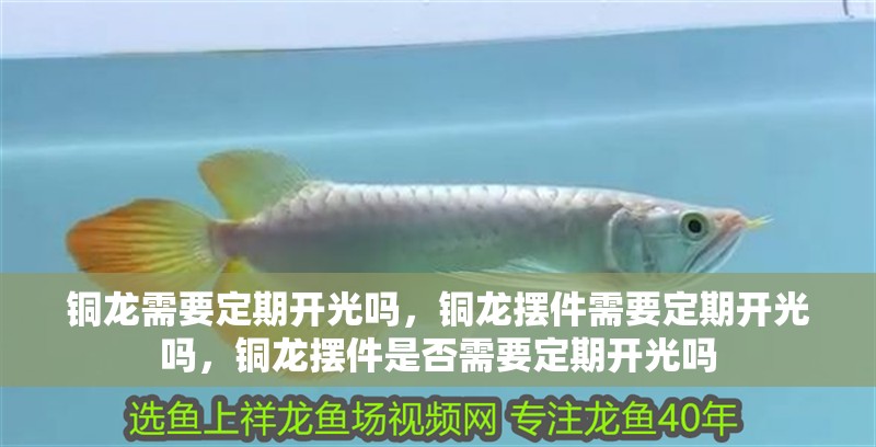 銅龍需要定期開(kāi)光嗎，銅龍擺件需要定期開(kāi)光嗎，銅龍擺件是否需要定期開(kāi)光嗎