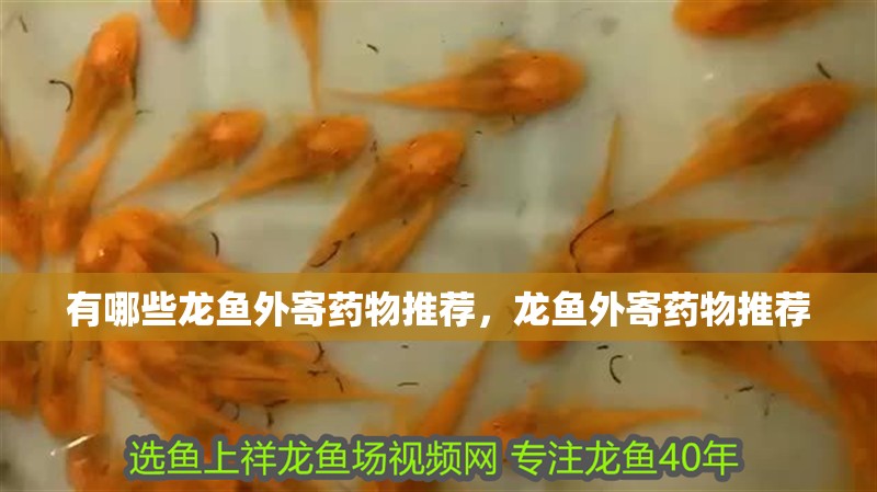 有哪些龍魚外寄藥物推薦，龍魚外寄藥物推薦