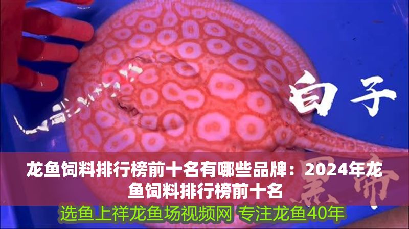 龍魚飼料排行榜前十名有哪些品牌：2024年龍魚飼料排行榜前十名
