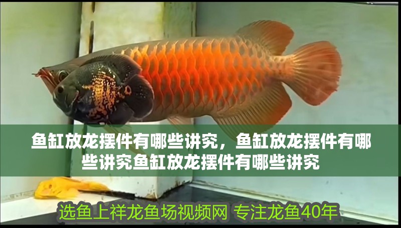 魚缸放龍擺件有哪些講究，魚缸放龍擺件有哪些講究魚缸放龍擺件有哪些講究 魚缸放龍擺件有哪些講究，魚缸放龍擺件有哪些講究魚缸放龍擺件有哪些講究 龍魚百科