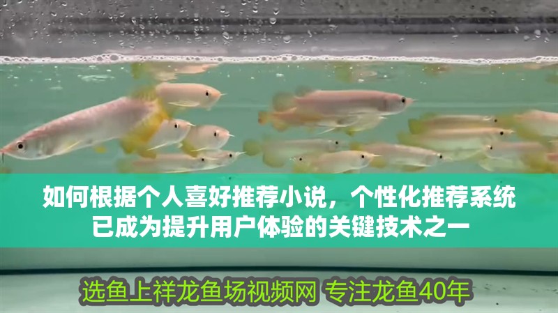 如何根據(jù)個(gè)人喜好推薦小說，個(gè)性化推薦系統(tǒng)已成為提升用戶體驗(yàn)的關(guān)鍵技術(shù)之一