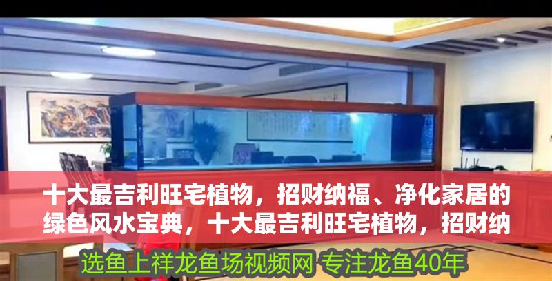 十大最吉利旺宅植物，招財(cái)納福、凈化家居的綠色風(fēng)水寶典，十大最吉利旺宅植物，招財(cái)納福·凈化家居的綠色風(fēng)水寶典