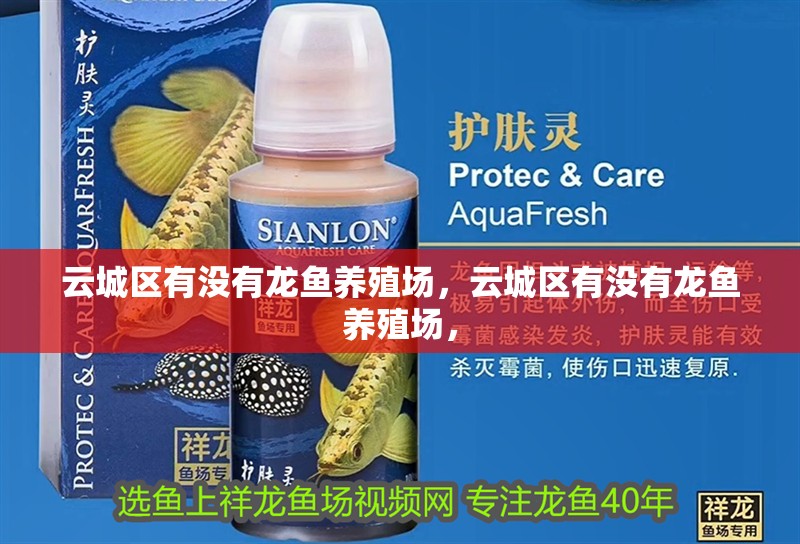 云城區有沒有龍魚養殖場，云城區有沒有龍魚養殖場，