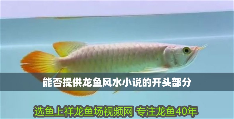 能否提供龍魚風水小說的開頭部分
