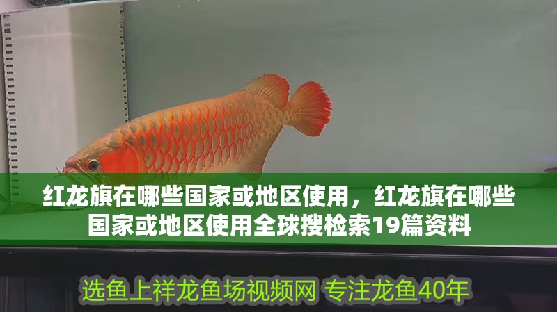 紅龍旗在哪些國(guó)家或地區(qū)使用，紅龍旗在哪些國(guó)家或地區(qū)使用全球搜檢索19篇資料 紅龍旗在哪些國(guó)家或地區(qū)使用，紅龍旗在哪些國(guó)家或地區(qū)使用全球搜檢索19篇資料 龍魚(yú)百科