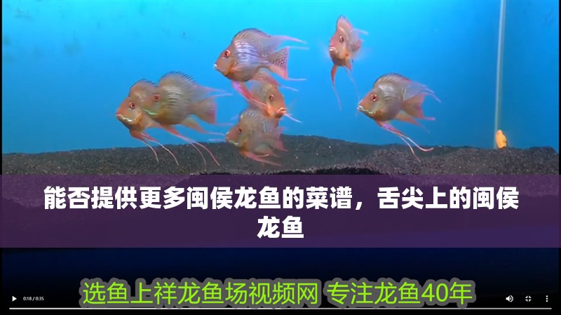 能否提供更多閩侯龍魚的菜譜，舌尖上的閩侯龍魚