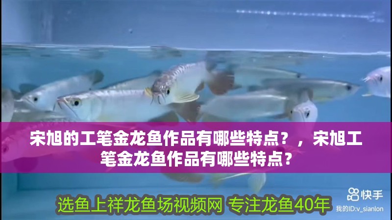 宋旭的工筆金龍魚作品有哪些特點？，宋旭工筆金龍魚作品有哪些特點？