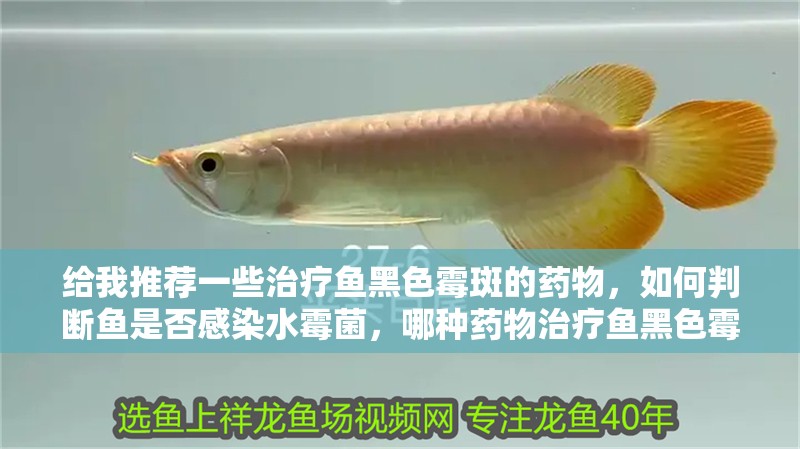 給我推薦一些治療魚黑色霉斑的藥物，如何判斷魚是否感染水霉菌，哪種藥物治療魚黑色霉斑最有效
