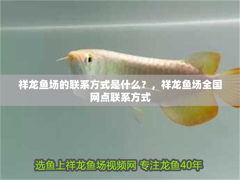 魚缸用增氧泵價格是多少:魚缸增氧機(jī)-xtrac增氧機(jī)-xtrac增氧機(jī) 祥龍魚場的聯(lián)系方式是什么?,祥龍魚場全國網(wǎng)點(diǎn)聯(lián)系方式 龍魚百科 祥龍魚場的聯(lián)系方式是什么?,祥龍魚場全國網(wǎng)點(diǎn)聯(lián)系方式 祥龍魚場的聯(lián)系方式是什么?,祥龍魚場全國網(wǎng)點(diǎn)聯(lián)系方式 龍魚百科