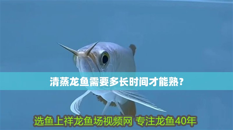清蒸龍魚需要多長時間才能熟？