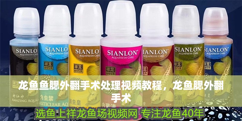 龍魚魚腮外翻手術處理視頻教程，龍魚腮外翻手術