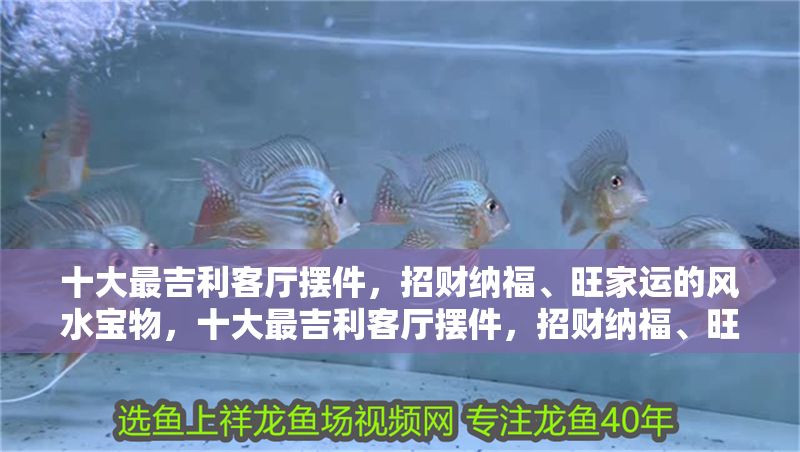十大最吉利客廳擺件，招財納福、旺家運的風(fēng)水寶物，十大最吉利客廳擺件，招財納福、旺家運的風(fēng)水寶物推薦