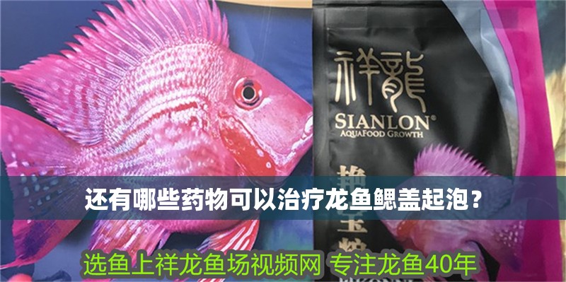 還有哪些藥物可以治療龍魚鰓蓋起泡？ 還有哪些藥物可以治療龍魚鰓蓋起泡？ 龍魚百科