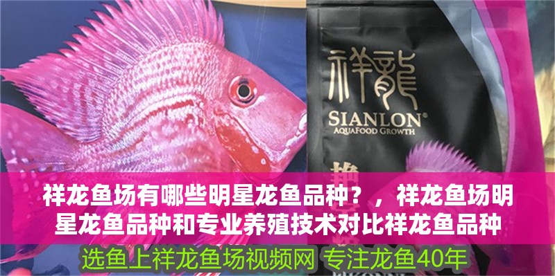 祥龍魚場有哪些明星龍魚品種？，祥龍魚場明星龍魚品種和專業養殖技術對比祥龍魚品種
