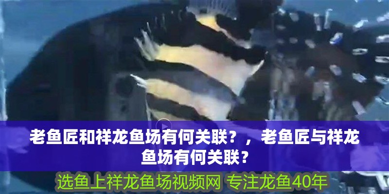 老魚匠和祥龍魚場有何關聯(lián)？，老魚匠與祥龍魚場有何關聯(lián)？