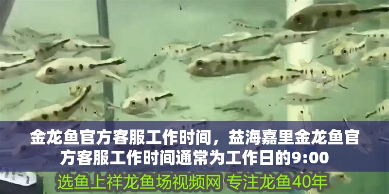金龍魚官方客服工作時間，益海嘉里金龍魚官方客服工作時間通常為工作日的9:00