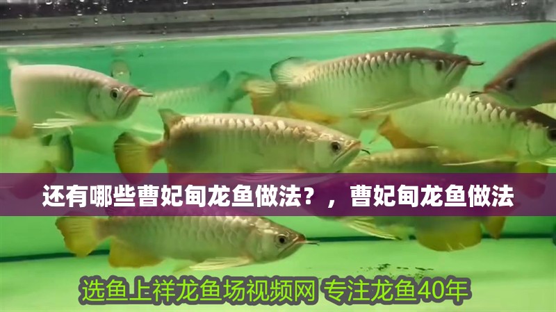 還有哪些曹妃甸龍魚做法？，曹妃甸龍魚做法