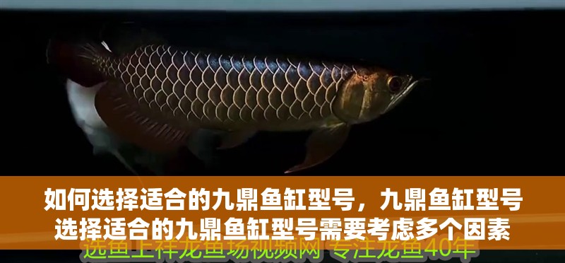 如何選擇適合的九鼎魚缸型號，九鼎魚缸型號選擇適合的九鼎魚缸型號需要考慮多個(gè)因素