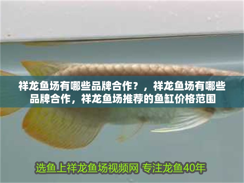 魚(yú)缸用增氧泵價(jià)格是多少:魚(yú)缸增氧機(jī)-xtrac增氧機(jī)-xtrac增氧機(jī) 祥龍魚(yú)場(chǎng)有哪些品牌合作?,祥龍魚(yú)場(chǎng)有哪些品牌合作,祥龍魚(yú)場(chǎng)推薦的魚(yú)缸價(jià)格范圍 龍魚(yú)百科 祥龍魚(yú)場(chǎng)有哪些品牌合作?,祥龍魚(yú)場(chǎng)有哪些品牌合作,祥龍魚(yú)場(chǎng)推薦的魚(yú)缸價(jià)格范圍 祥龍魚(yú)場(chǎng)有哪些品牌合作?,祥龍魚(yú)場(chǎng)有哪些品牌合作,祥龍魚(yú)場(chǎng)推薦的魚(yú)缸價(jià)格范圍 龍魚(yú)百科