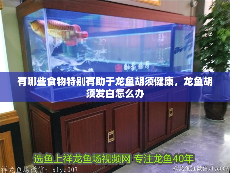 有哪些食物特別有助于龍魚胡須健康，龍魚胡須發白怎么辦