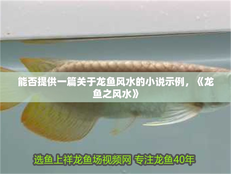 能否提供一篇關于龍魚風水的小說示例，《龍魚之風水》