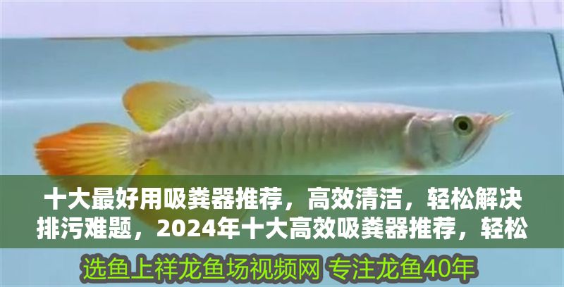 十大最好用吸糞器推薦，高效清潔，輕松解決排污難題，2024年十大高效吸糞器推薦，輕松排污，清潔無憂