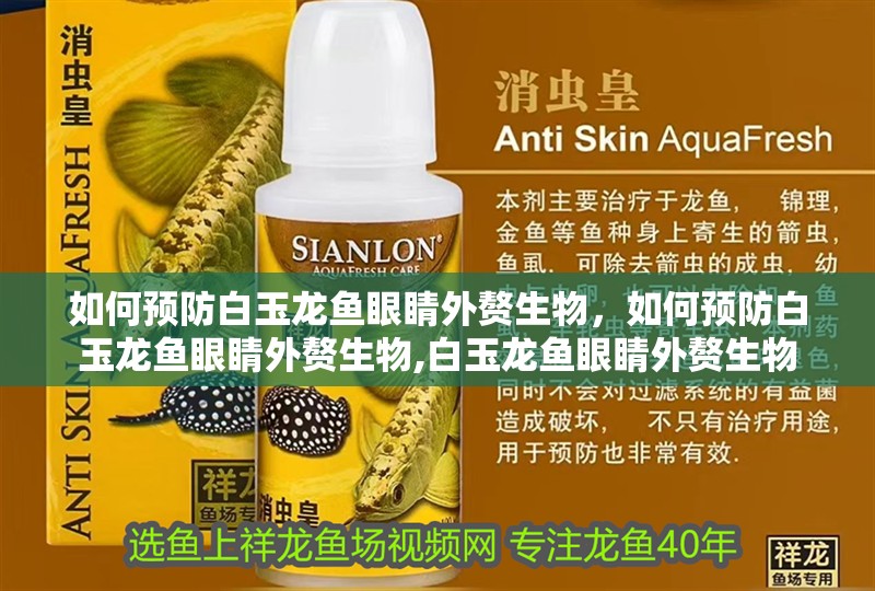 如何預(yù)防白玉龍魚眼睛外贅生物，如何預(yù)防白玉龍魚眼睛外贅生物,白玉龍魚眼睛外贅生物