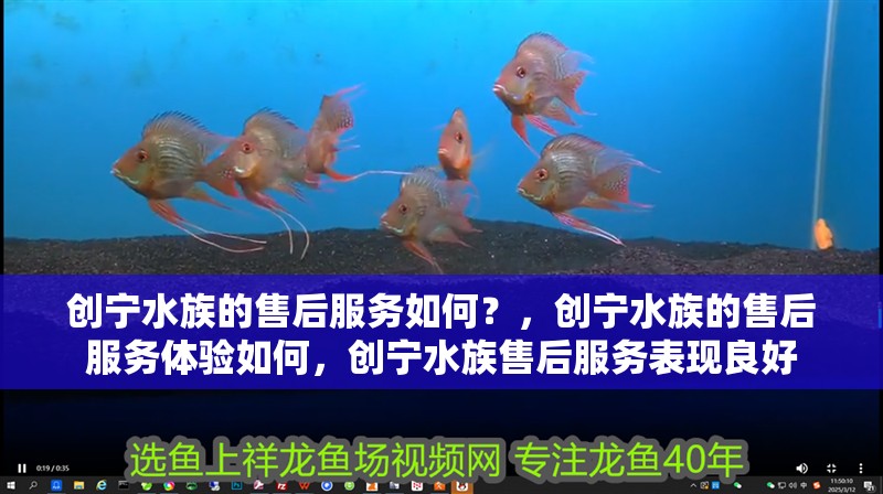 創寧水族的售后服務如何？，創寧水族的售后服務體驗如何，創寧水族售后服務表現良好