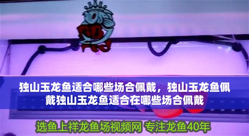 獨山玉龍魚適合哪些場合佩戴，獨山玉龍魚佩戴獨山玉龍魚適合在哪些場合佩戴