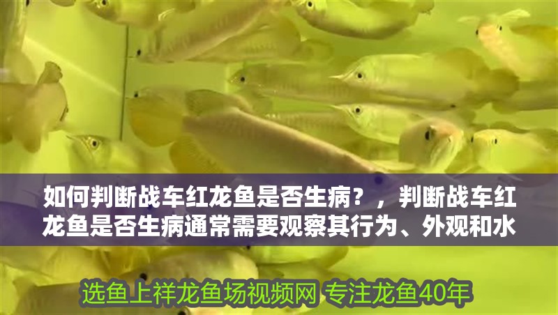 如何判斷戰車紅龍魚是否生病？，判斷戰車紅龍魚是否生病通常需要觀察其行為、外觀和水質條件