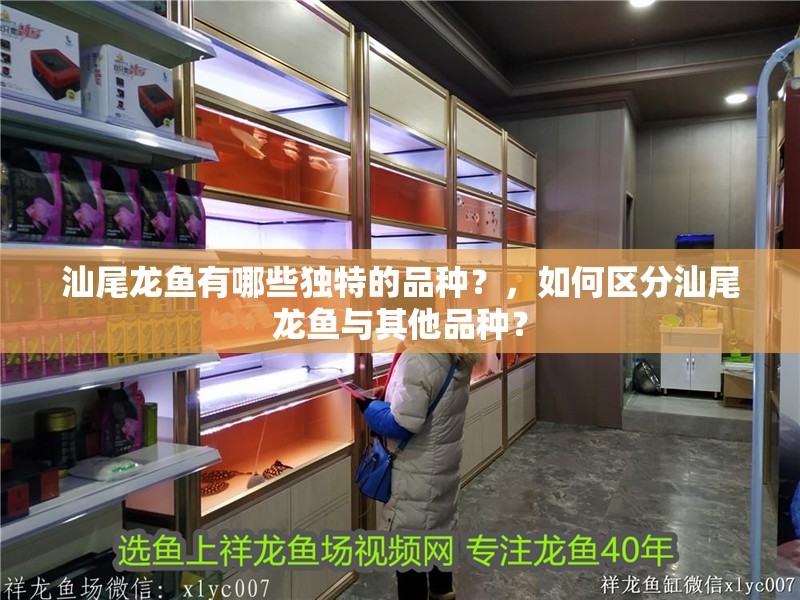 汕尾龍魚有哪些獨特的品種？，如何區分汕尾龍魚與其他品種？