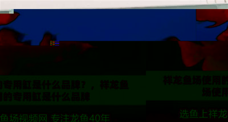祥龍魚場使用的專用缸是什么品牌？，祥龍魚場使用的專用缸是什么品牌 祥龍魚場使用的專用缸是什么品牌？，祥龍魚場使用的專用缸是什么品牌 龍魚百科
