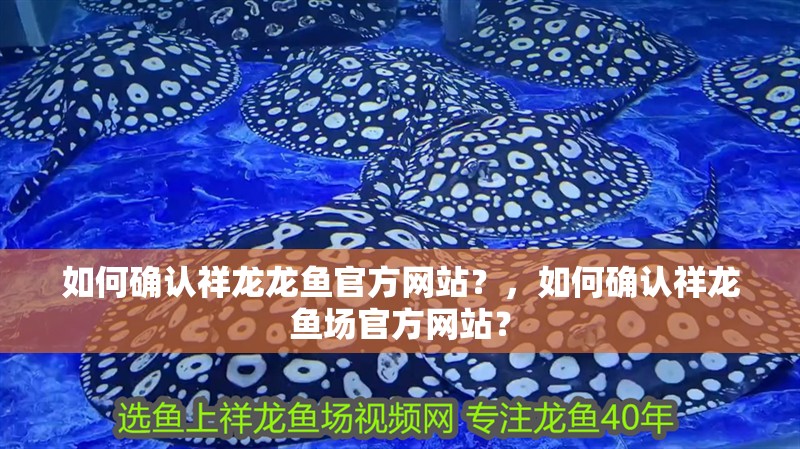 我的虎魚真菌感染了要怎么處理 如何確認祥龍龍魚官方網站?,如何確認祥龍魚場官方網站? 龍魚百科 如何確認祥龍龍魚官方網站?,如何確認祥龍魚場官方網站? 如何確認祥龍龍魚官方網站?,如何確認祥龍魚場官方網站? 龍魚百科