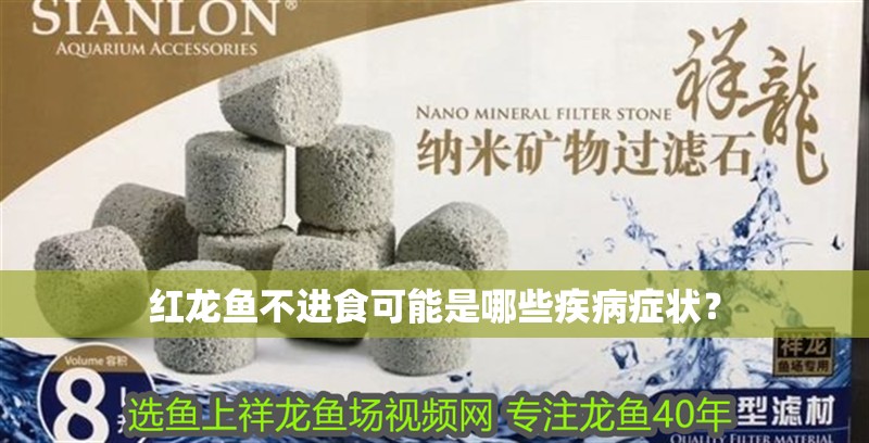 紅龍魚不進食可能是哪些疾病癥狀？