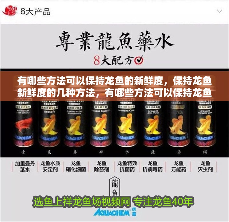 有哪些方法可以保持龍魚的新鮮度，保持龍魚新鮮度的幾種方法，有哪些方法可以保持龍魚新鮮度