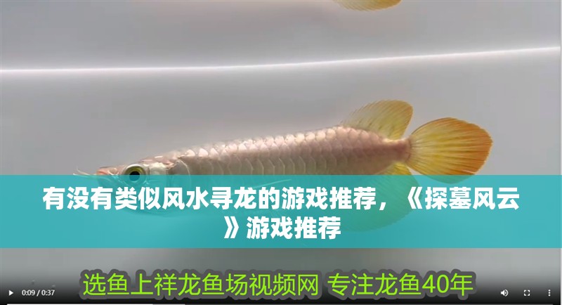 有沒有類似風水尋龍的游戲推薦，《探墓風云》游戲推薦 有沒有類似風水尋龍的游戲推薦，《探墓風云》游戲推薦 龍魚百科