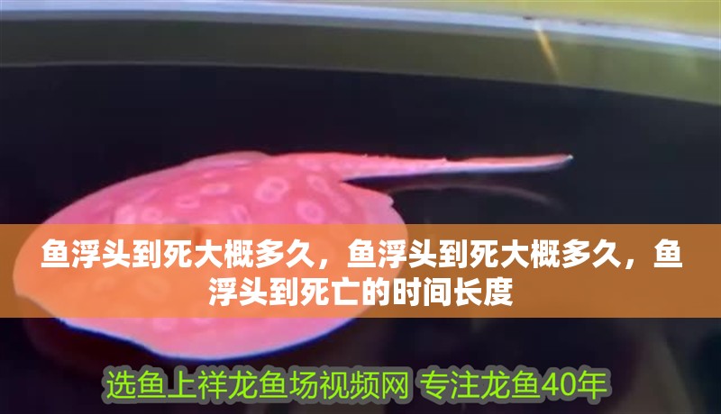 魚浮頭到死大概多久，魚浮頭到死大概多久，魚浮頭到死亡的時(shí)間長度