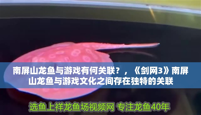 南屏山龍魚(yú)與游戲有何關(guān)聯(lián)？，《劍網(wǎng)3》南屏山龍魚(yú)與游戲文化之間存在獨(dú)特的關(guān)聯(lián)