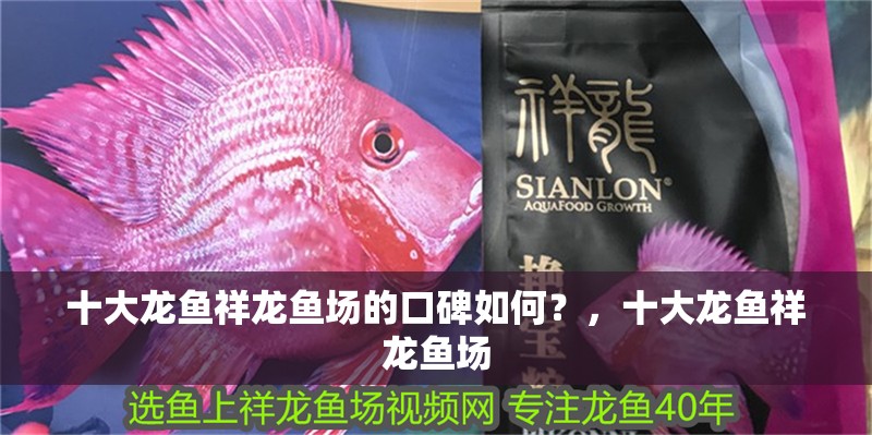 十大龍魚祥龍魚場的口碑如何？，十大龍魚祥龍魚場