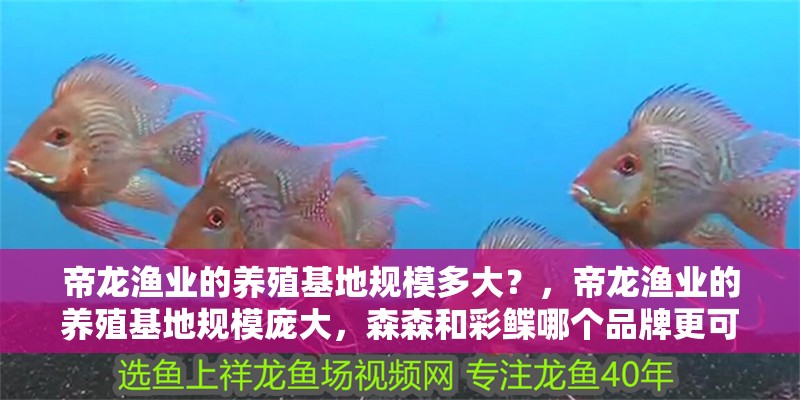我的虎魚(yú)真菌感染了要怎么處理 帝龍漁業(yè)的養(yǎng)殖基地規(guī)模多大?,帝龍漁業(yè)的養(yǎng)殖基地規(guī)模龐大,森森和彩鰈哪個(gè)品牌更可靠 龍魚(yú)百科 帝龍漁業(yè)的養(yǎng)殖基地規(guī)模多大?,帝龍漁業(yè)的養(yǎng)殖基地規(guī)模龐大,森森和彩鰈哪個(gè)品牌更可靠 帝龍漁業(yè)的養(yǎng)殖基地規(guī)模多大?,帝龍漁業(yè)的養(yǎng)殖基地規(guī)模龐大,森森和彩鰈哪個(gè)品牌更可靠 龍魚(yú)百科