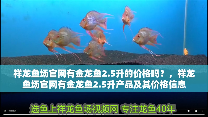 祥龍魚場官網有金龍魚2.5升的價格嗎？，祥龍魚場官網有金龍魚2.5升產品及其價格信息 祥龍魚場官網有金龍魚2.5升的價格嗎？，祥龍魚場官網有金龍魚2.5升產品及其價格信息 龍魚百科
