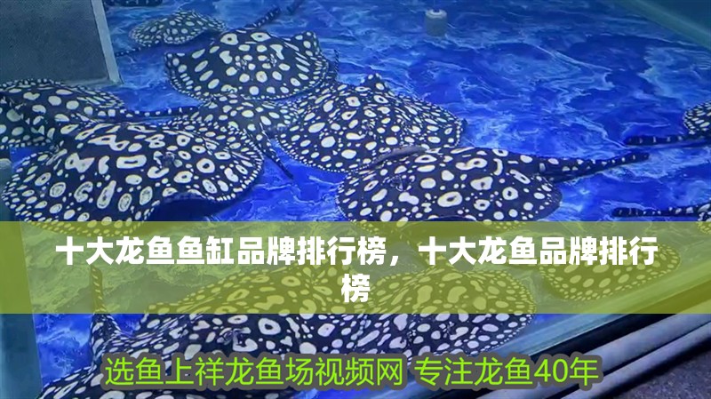 十大龍魚魚缸品牌排行榜，十大龍魚品牌排行榜 十大龍魚魚缸品牌排行榜，十大龍魚品牌排行榜 龍魚百科