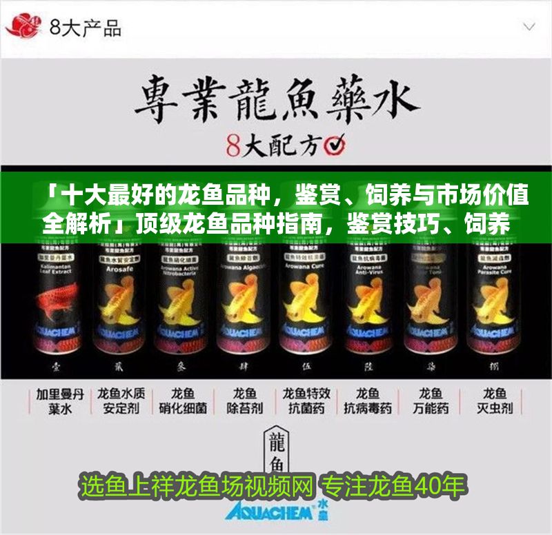 「十大最好的龍魚品種，鑒賞、飼養與市場價值全解析」頂級龍魚品種指南，鑒賞技巧、飼養要點與市場價值深度解析