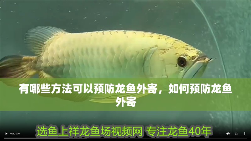 有哪些方法可以預防龍魚外寄，如何預防龍魚外寄