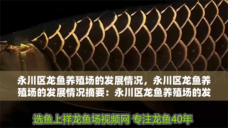 永川區(qū)龍魚(yú)養(yǎng)殖場(chǎng)的發(fā)展情況，永川區(qū)龍魚(yú)養(yǎng)殖場(chǎng)的發(fā)展情況摘要：永川區(qū)龍魚(yú)養(yǎng)殖場(chǎng)的發(fā)展情況 永川區(qū)龍魚(yú)養(yǎng)殖場(chǎng)的發(fā)展情況，永川區(qū)龍魚(yú)養(yǎng)殖場(chǎng)的發(fā)展情況摘要：永川區(qū)龍魚(yú)養(yǎng)殖場(chǎng)的發(fā)展情況 龍魚(yú)百科