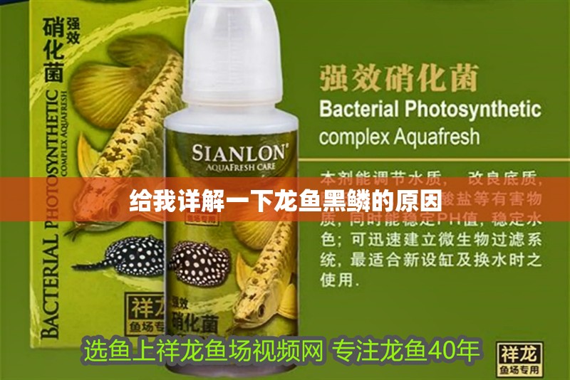給我詳解一下龍魚黑鱗的原因 給我詳解一下龍魚黑鱗的原因 龍魚百科