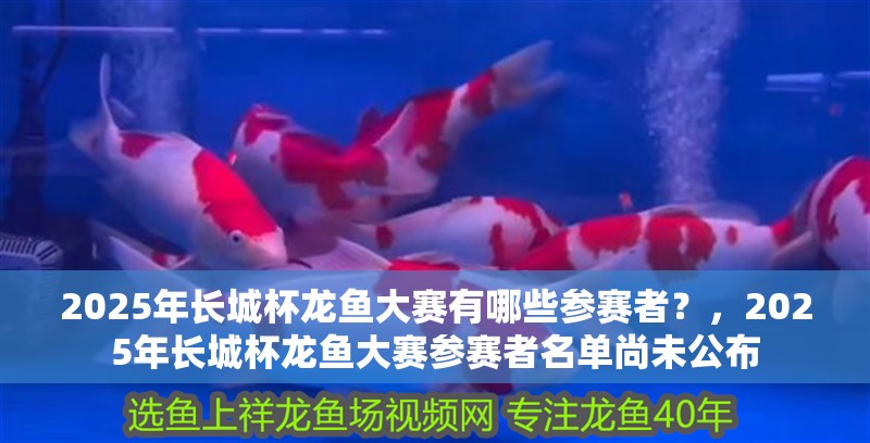 魚缸用增氧泵價格是多少:魚缸增氧機-xtrac增氧機-xtrac增氧機 2025年長城杯龍魚大賽有哪些參賽者?,2025年長城杯龍魚大賽參賽者名單尚未公布 龍魚百科 2025年長城杯龍魚大賽有哪些參賽者?,2025年長城杯龍魚大賽參賽者名單尚未公布 2025年長城杯龍魚大賽有哪些參賽者?,2025年長城杯龍魚大賽參賽者名單尚未公布 龍魚百科