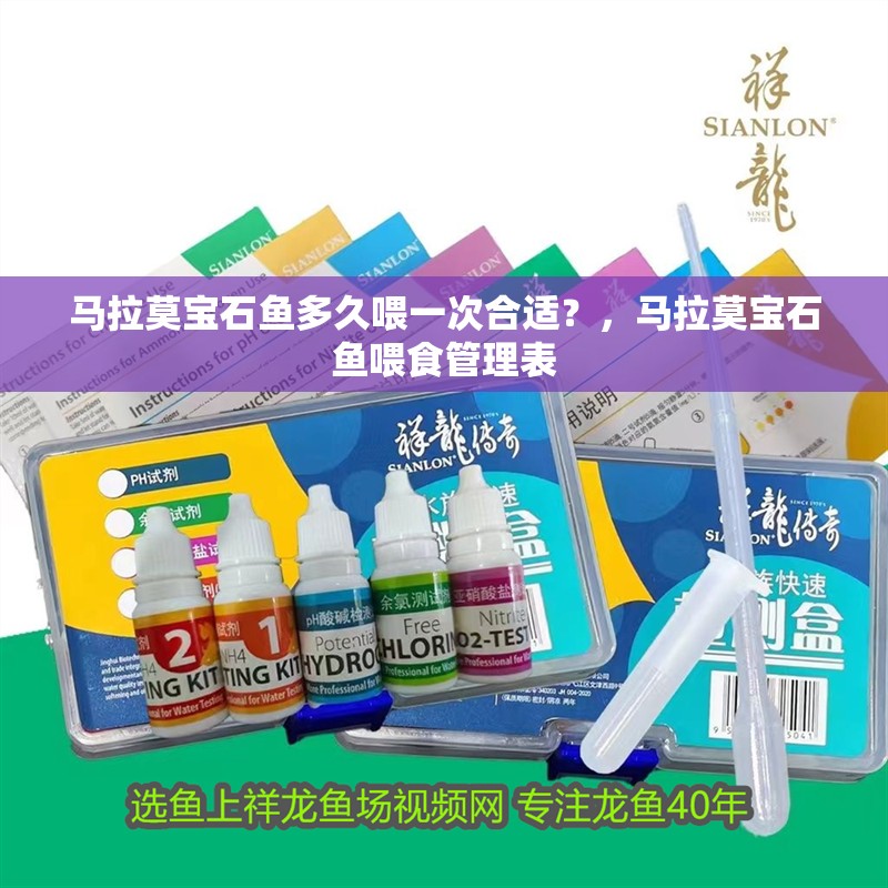 馬拉莫寶石魚多久喂一次合適？，馬拉莫寶石魚喂食管理表