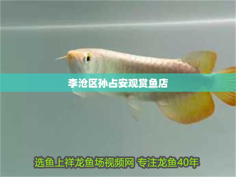 李滄區孫占安觀賞魚店