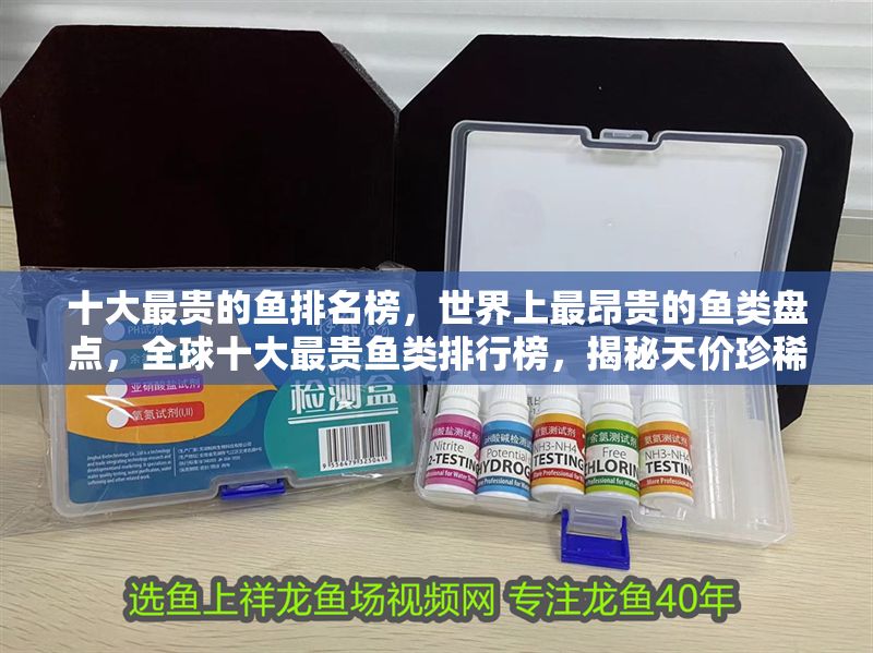 十大最貴的魚排名榜，世界上最昂貴的魚類盤點(diǎn)，全球十大最貴魚類排行榜，揭秘天價(jià)珍稀魚種